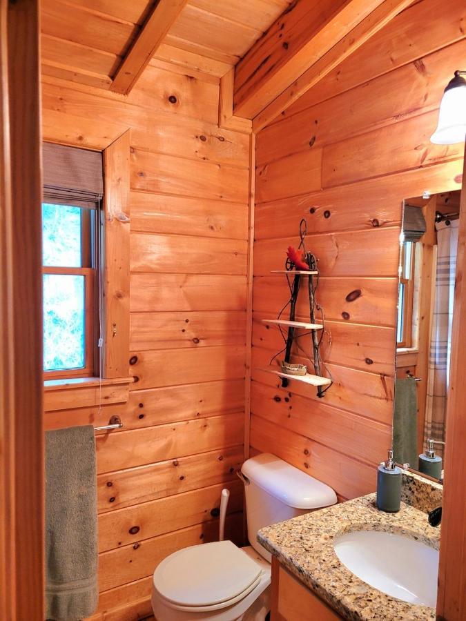 Luxury Cabin With Waterview And Privacy, Hiking Blue Ridge Luaran gambar