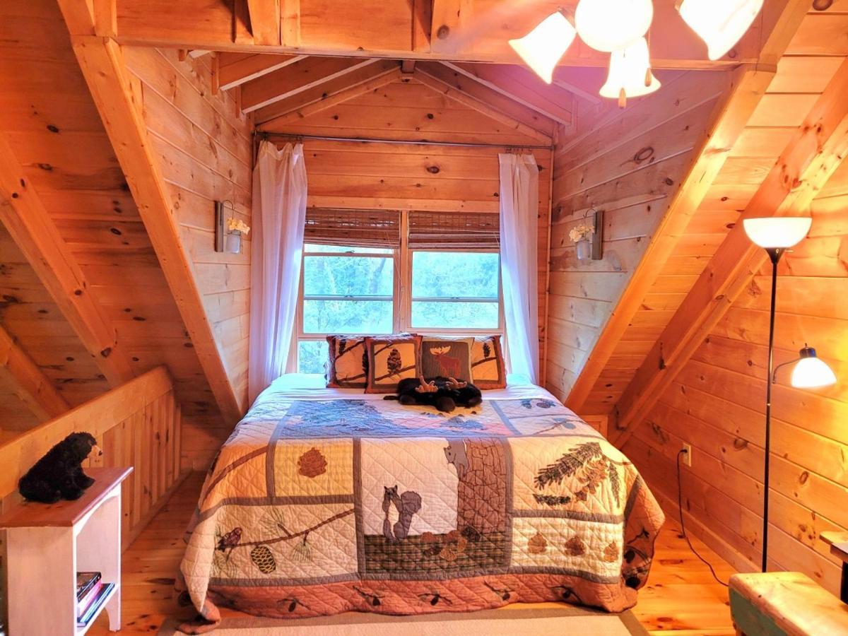 Luxury Cabin With Waterview And Privacy, Hiking Blue Ridge Luaran gambar